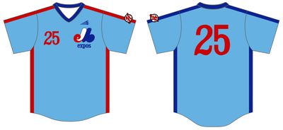 Hingham LL (Babe Ruth) Custom NanoDri Baseball Jersey #J22B