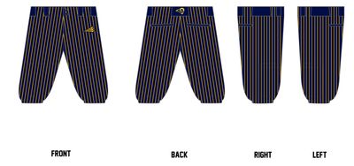 Pleasant Ridge High School Custom Knicker Baseball Pant #BP2