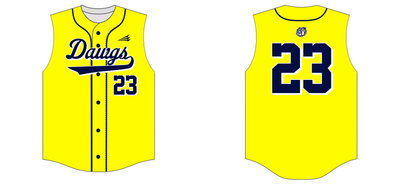 Good Deals Dogs Custom HexaFlex Baseball Jersey #J1C