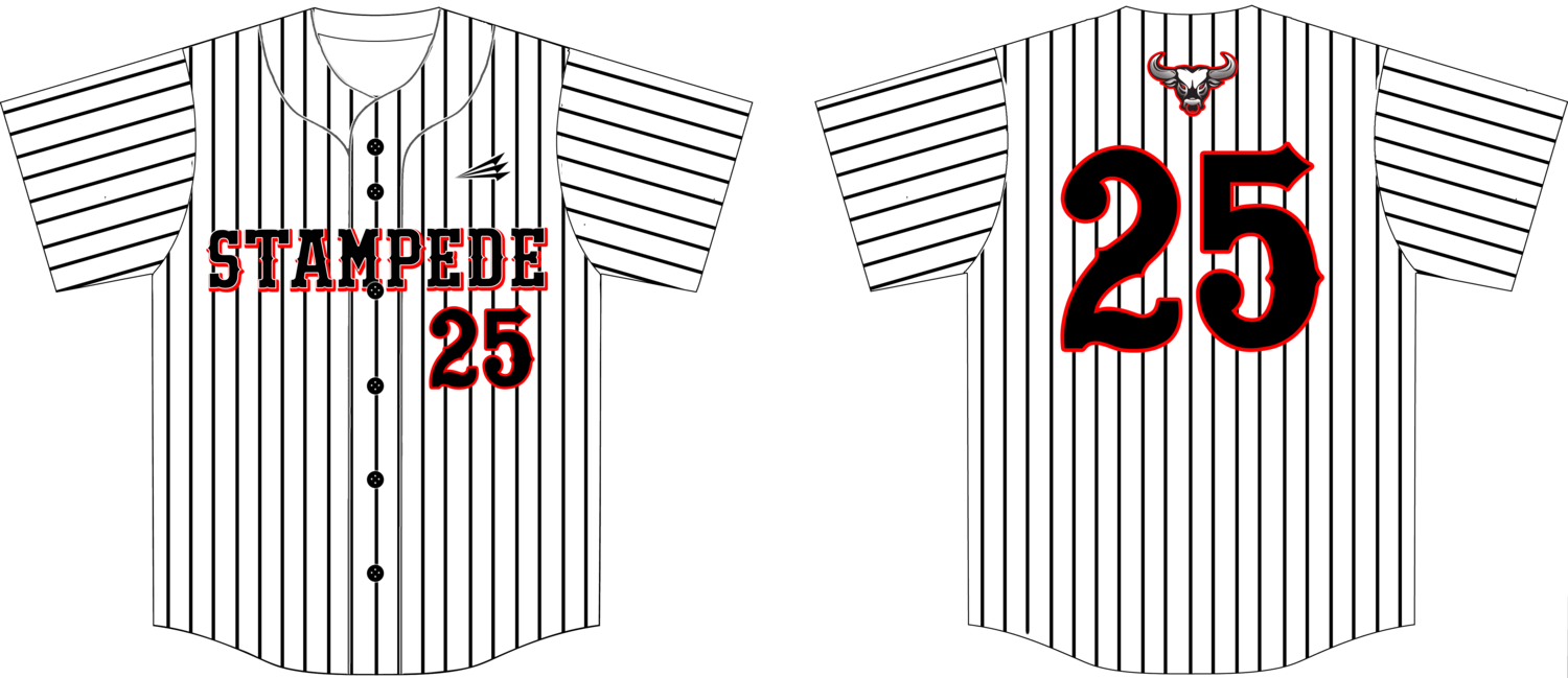 LAKELAND STAMPEDE Custom HexaFlex Baseball Jersey #3B