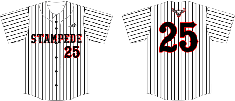 LAKELAND STAMPEDE Custom HexaFlex Baseball Jersey #3B