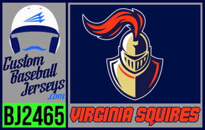 Virginia Squires