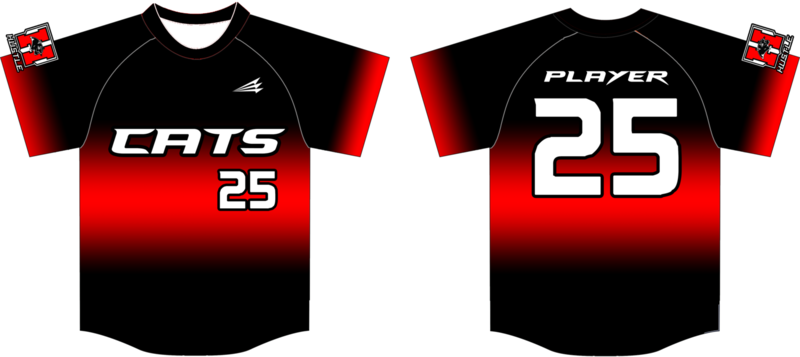 Blackcat Baseball Club Custom NanoDri Baseball Jersey #6B