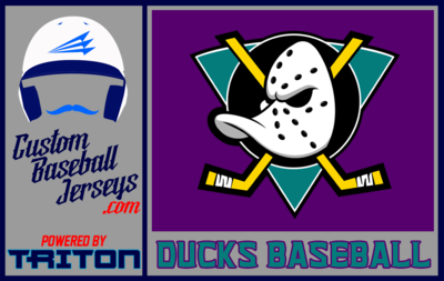 Ducks (Ievolo) Baseball