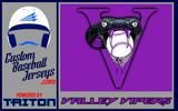 Valley Vipers Baseball