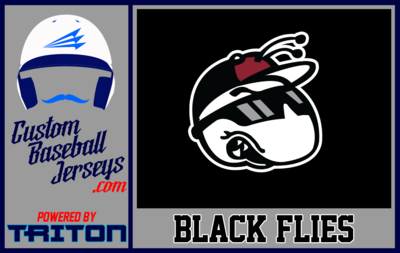 New Hampshire Black Flies