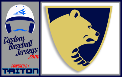 Pulaski Bruins Baseball