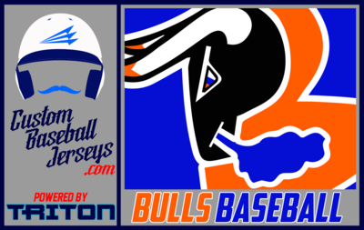 Bulls (Tudela)