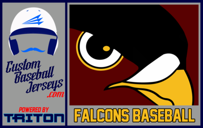 Finger Lakes Falcons