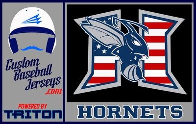Kingsport Hammond Hornets Baseball