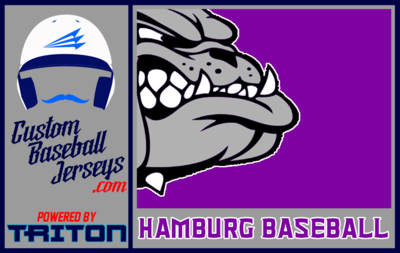 Hamburg Baseball
