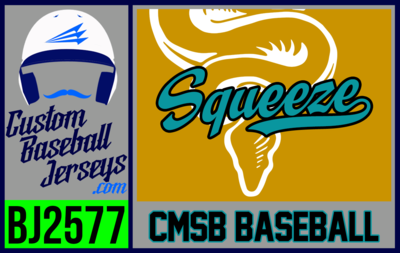 CMSB Squeeze