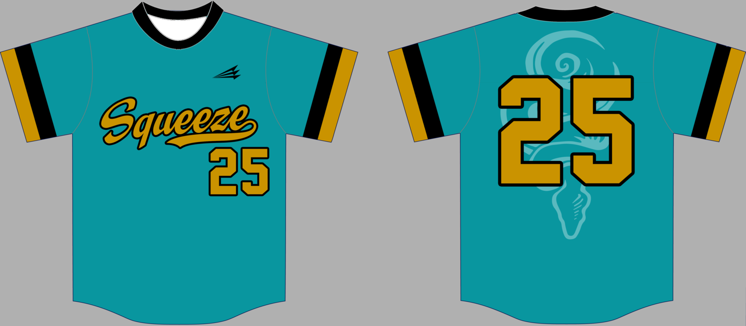 CMSB Squeeze Custom NanoDri Baseball Jersey #6