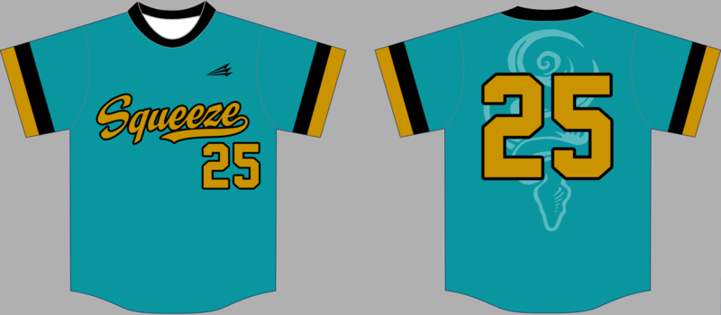 CMSB Squeeze Custom NanoDri Baseball Jersey #6