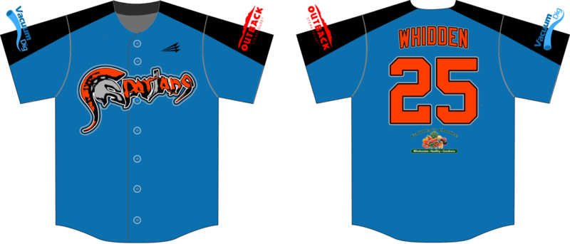 Heartland Spartans Custom Nanodri Baseball Jersey Design #3D