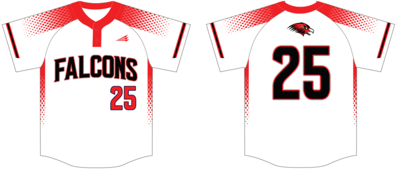 Allendale Falcons Custom HexaFlex Baseball Jersey Design #3