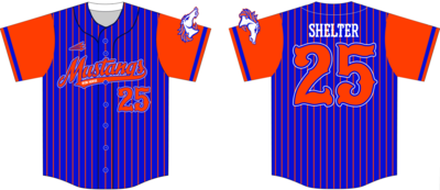 Iron Horse Mustangs Custom HexaFlex Baseball Jersey #1D