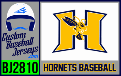 Hammonton Hornets