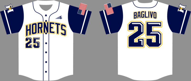 Hammonton Hornets Custom HexaFlex Baseball Jersey #6