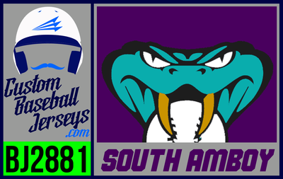 South Amboy Snakes