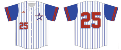 Beehive Custom NanoDri Baseball Jersey Design #2C