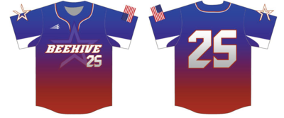 Beehive Custom NanoDri Baseball Jersey Design #4