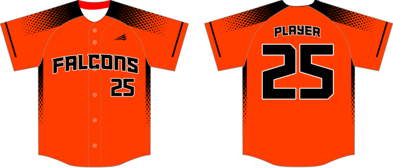 Flensburg Falcons Custom NanoDri Baseball Jersey Design #2B