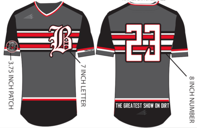 Tri-State Bandits Elite Custom Baseball Jersey #2