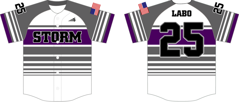 Michigan Storm Custom NanoDri Baseball Jersey Design #4B