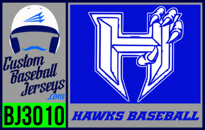 Hawks (Burns)
