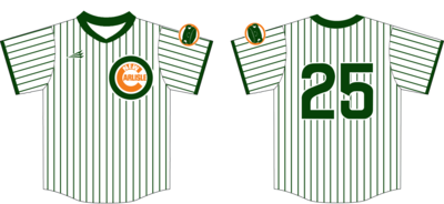 New Carlisle Newts Custom HexaFlex Baseball Jersey #6