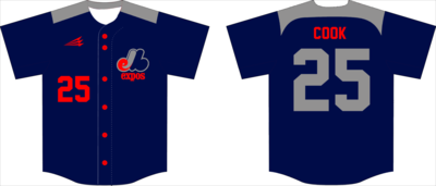 Montgomery Expos Custom NanoDri Baseball Jersey #4B