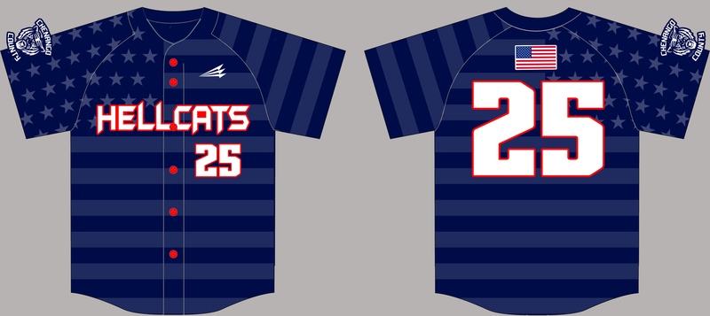 Chenango Hellcats American Legion Custom HexaFkex Baseball Jersey Design #2B