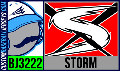 Storm (Mulville)