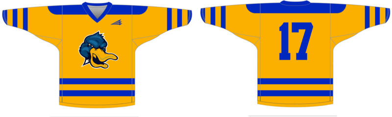 Cornerstone Ducks Custom Hockey Jersey #2