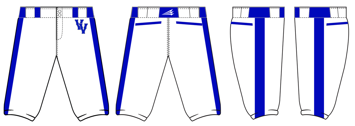 Virginia Venom Custom Knicker Baseball Pants Design #BP1B