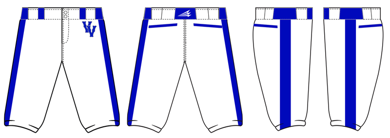 Virginia Venom Custom Knicker Baseball Pants Design #BP1B