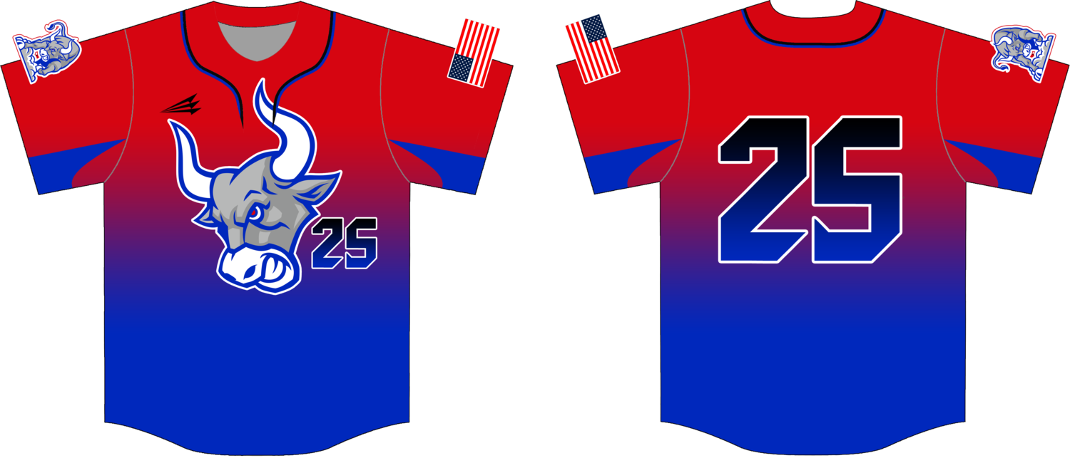 Gulf Coast Bulls Custom HexaFlex Baseball Jersey #4C