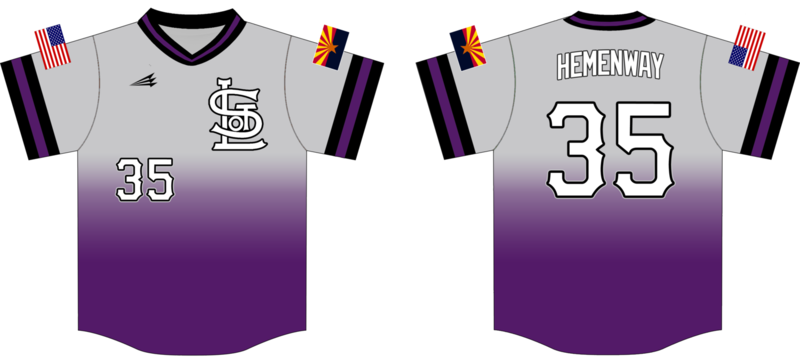 Arizona Sandlot Custom NanoDri Baseball Jersey #1
