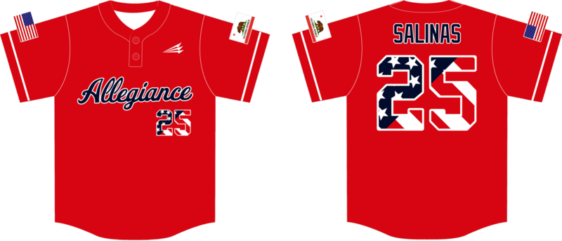 Allegiance Custom HexaFlex Baseball Jersey Design #2B