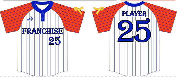 Franchise Custom Hexaflex Baseball Jersey #J3C