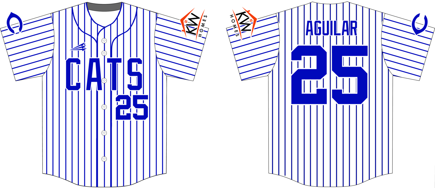 Brazos Cats Custom HexaFlex Baseball Jersey #J7E