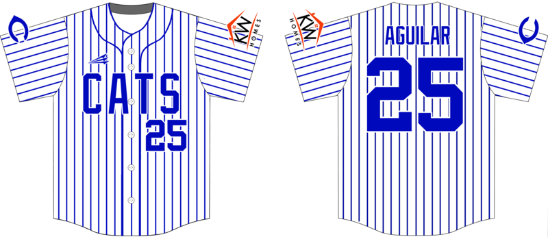 Brazos Cats Custom HexaFlex Baseball Jersey #J7E