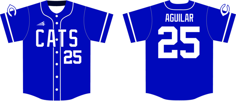 Brazos Cats Custom HexaFlex Baseball Jersey #J6E