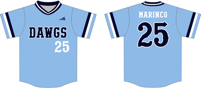 Michigan Dawgs Custom Hexaflex Baseball Jersey #J4C