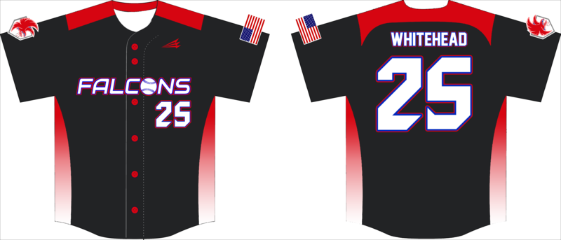 Twin City Falcons Custom NanoDri Baseball Jersey #J5B