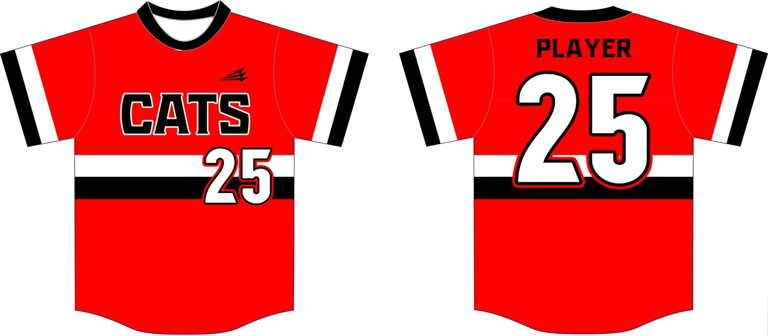 Parkston Mudcats Custom HexaFlex Baseball Jersey Design #1C