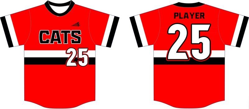 Parkston Mudcats Custom HexaFlex Baseball Jersey Design #1C