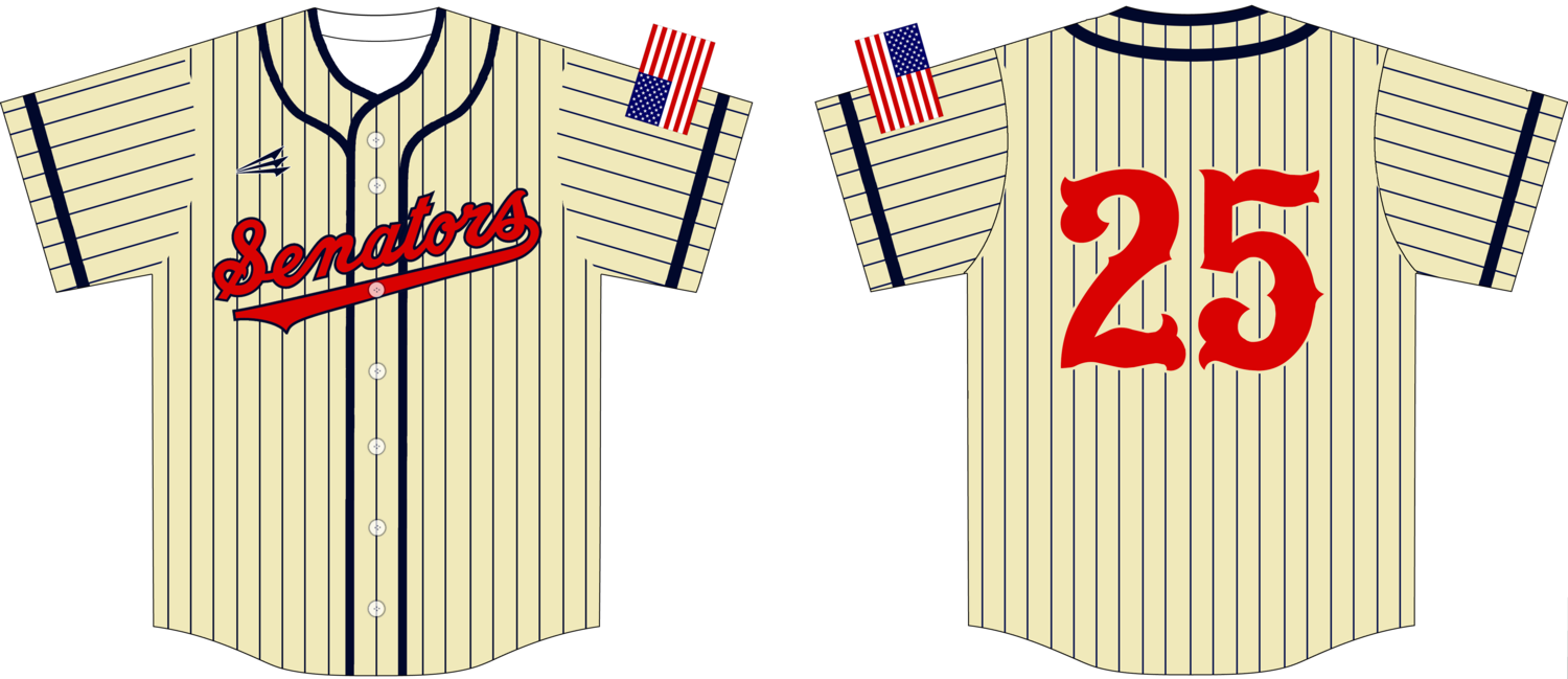 Bill Arp Senators Custom NanoDri Baseball Jersey #J1D
