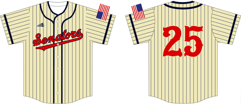 Bill Arp Senators Custom NanoDri Baseball Jersey #J1D